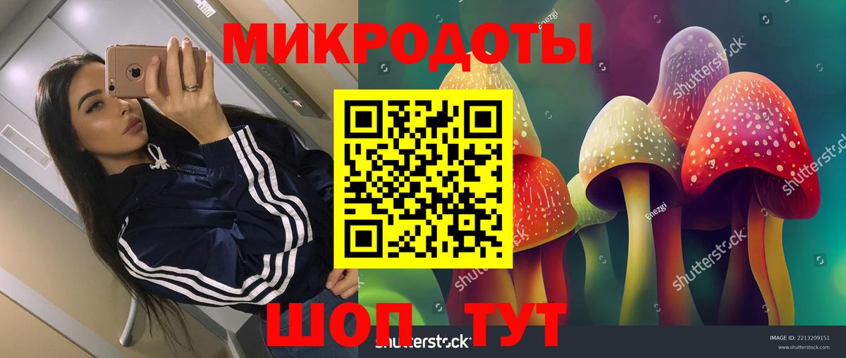 Галлюциногенные грибы GOLDEN TEACHER  Вход с VPN  Галлюциногенные грибы MAGIC MUSHROOMS  Протвино 